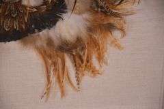 Framed pheasant feather mask; 55-12226