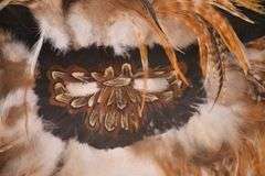 Framed pheasant feather mask; 55-12226