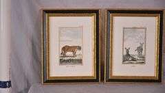 Pair of small framed engravings "Royal Tiger" & "Zebra"; 18303-012
