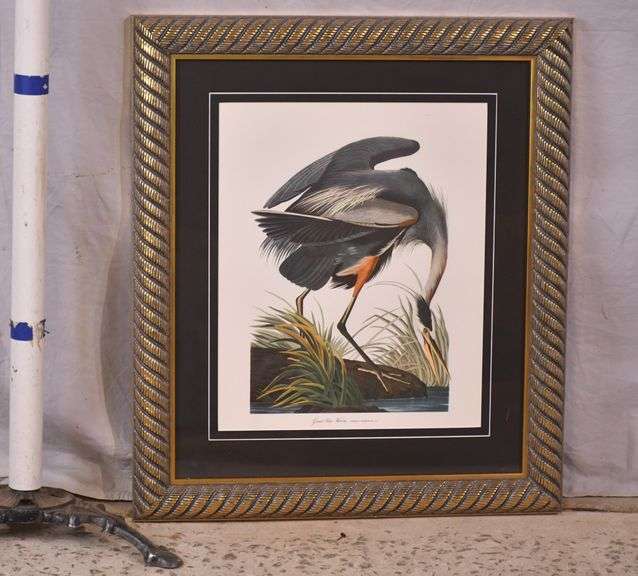 Framed print "Great blue Heron" by John J. Audubon; 3431-033
