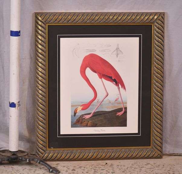 Framed print "American Flamingo" by John J. Audubon; 3431-032