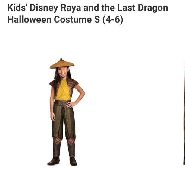 Halloween Raya Kids' Disney Raya and the Last Dragon Halloween Costume S (4-6 ...