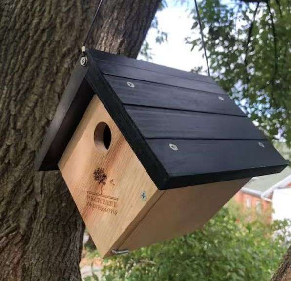 Backyard Expressions Cedar Wood Triangle Birdhouse with Cleanout Door