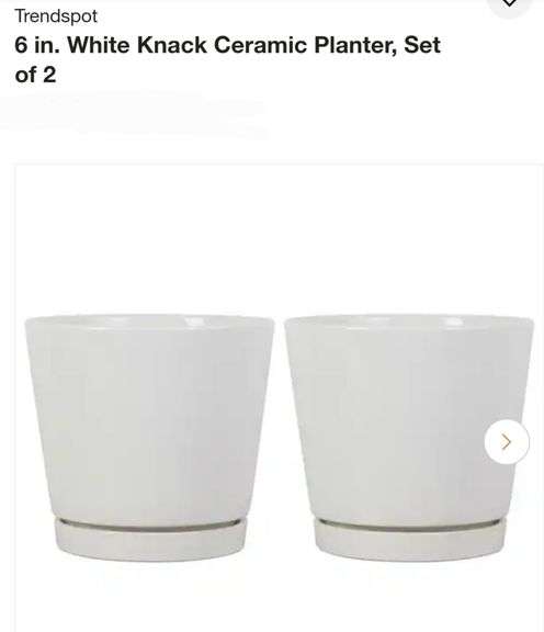 Trendspot
6 in. White Knack Ceramic Planter, Set of 2