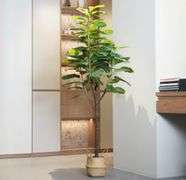 Moss & Bloom Artificial Fiddle Leaf Fig Tree - 6ft