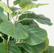 Moss & Bloom Artificial Fiddle Leaf Fig Tree - 6ft