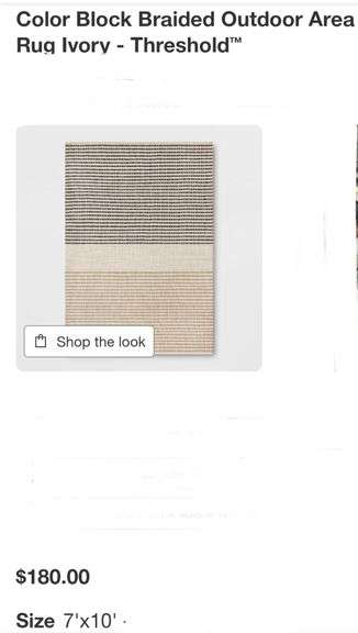 Color Block Braided Outdoor Area Rug Ivory - Threshold 7'x10'