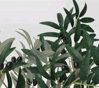 Threshold 30" Olive Tree in Pot Artificial Plant