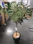 Threshold 30" Olive Tree in Pot Artificial Plant