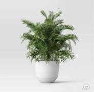 (2) Self-Watering Plastic Indoor Outdoor Planter Pot - Room Essentials™