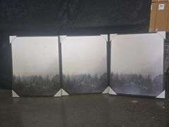 Read! (3) Mystic Forest Framed Canvas - Threshold 24"x30