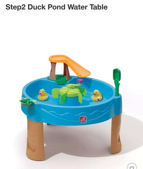 Step2 Duck Pond Water Table