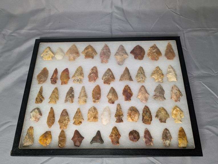 Lot of 50 Arrowhead Points in 12x16 Display Case