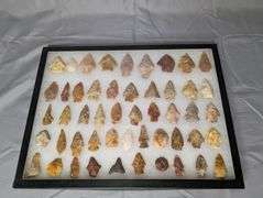 Lot of 50 Arrowhead Points in 12x16 Display Case