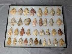 Lot of 36 Arrowhead Points in 12x16 Display Case