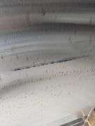 Avantco 178A19FHC Single Door Upright Freezer