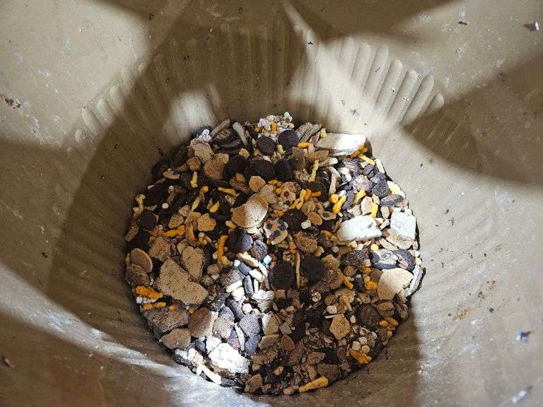 55-gal. Barrel of Half-Full Bear Bait