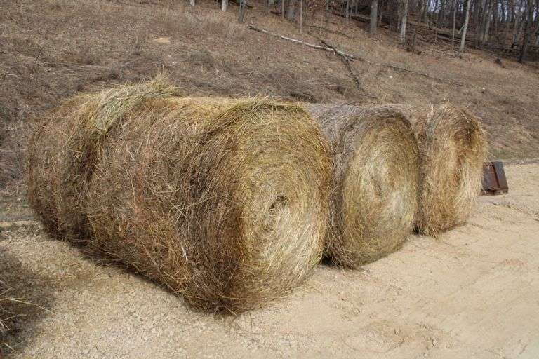 6 - 4' x 5' Grass round bales