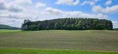 2931 148th Ave, Bloomer WI 54724 - Active