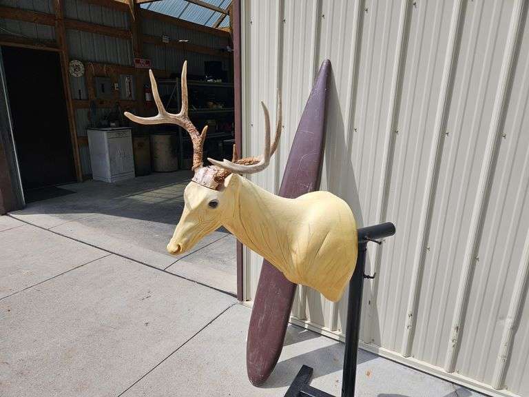 Taxidermy Supplies
