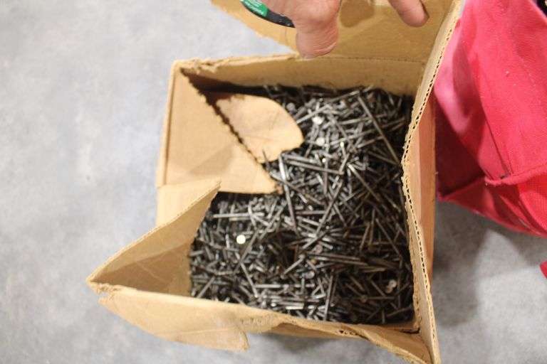 Box & bag of nails & screws