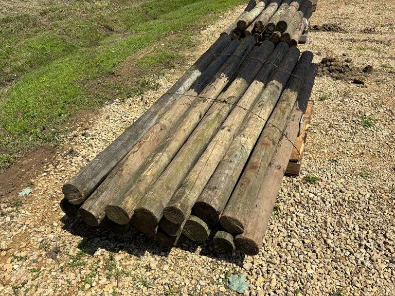 (20) Treated Posts