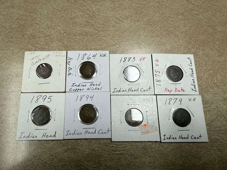 (8) Indian Head Pennies