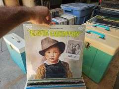 Large Quantity of Vinyl Records - Elvis & More
