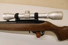 Ruger .22 rifle w/scope
