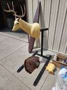 Taxidermy Supplies