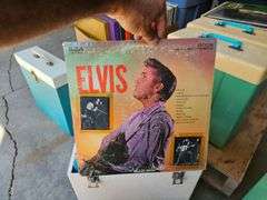 Large Quantity of Vinyl Records - Elvis & More