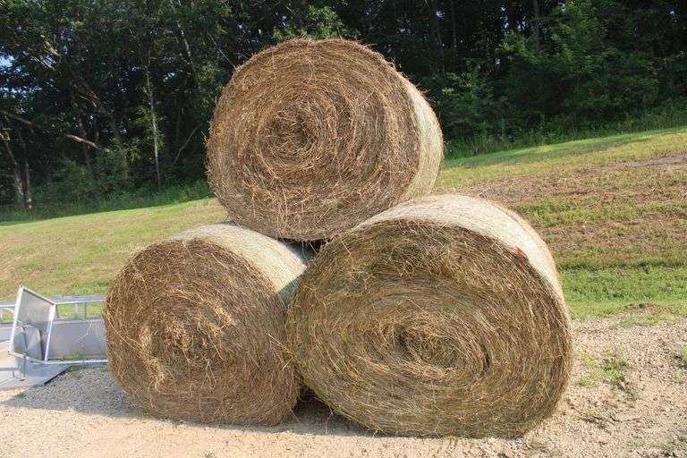5 round bales of 2025 1st. crop hay, net wrapped