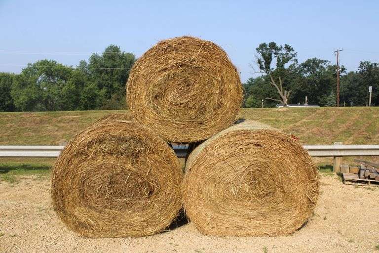 6 round bales of 2025 1st. crop hay, net wrapped