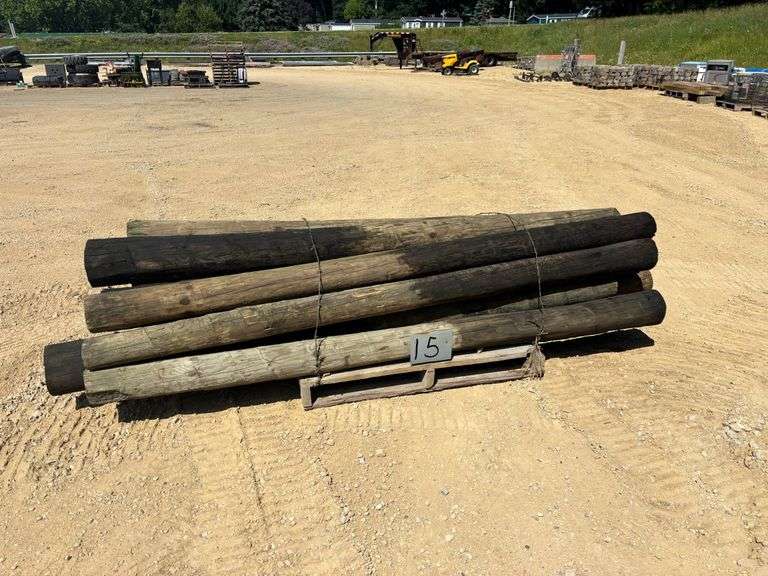 (15) 8ft Treated Posts