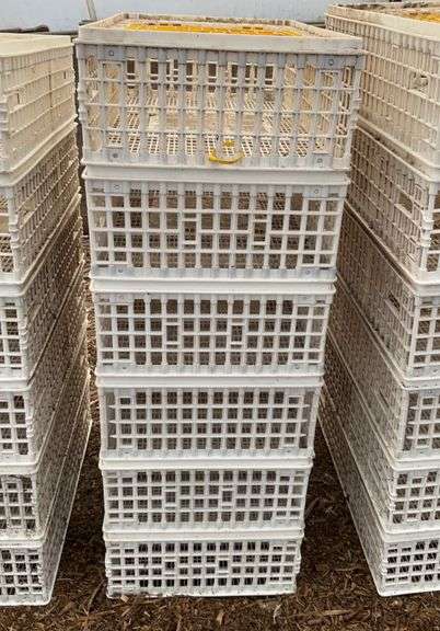 (6) chicken crates