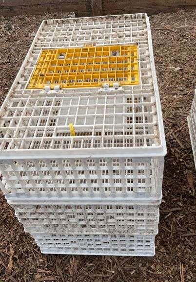 (3) chicken crates