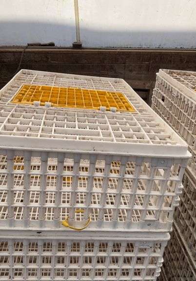 (6) chicken crates