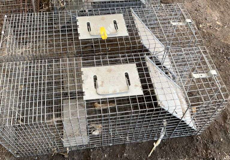 (2) live traps