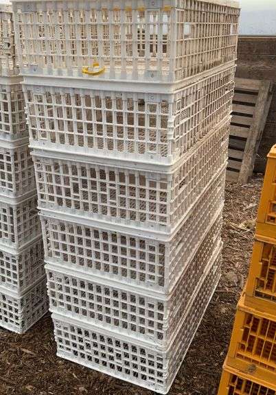 (6) chicken crates