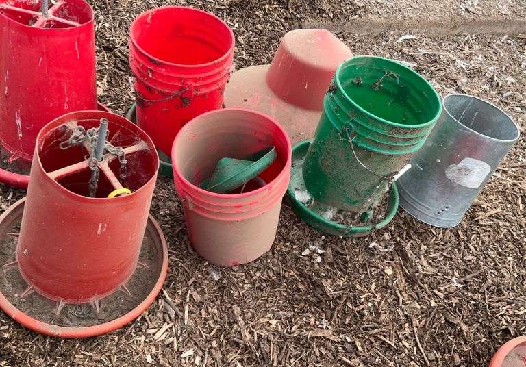 Assorted Chicken feeders