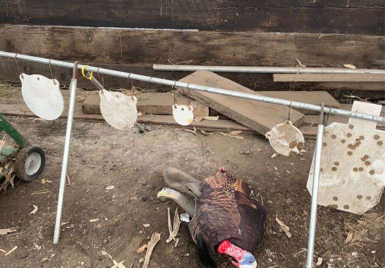 Shooting target stand with targets, turkey decoys