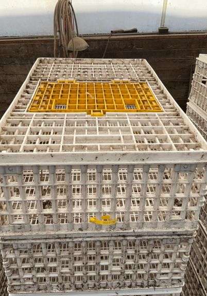 (6) chicken crates