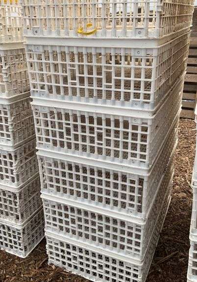 (6) chicken crates