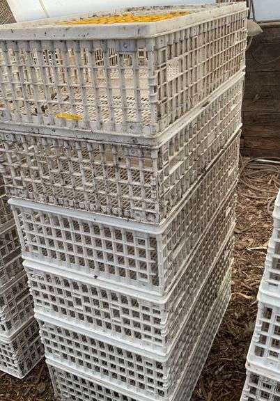 (6) chicken crates