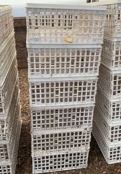 (6) chicken crates