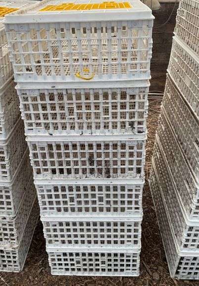 (6) chicken crates