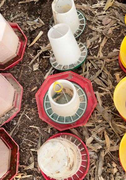 (4) chicken feeders