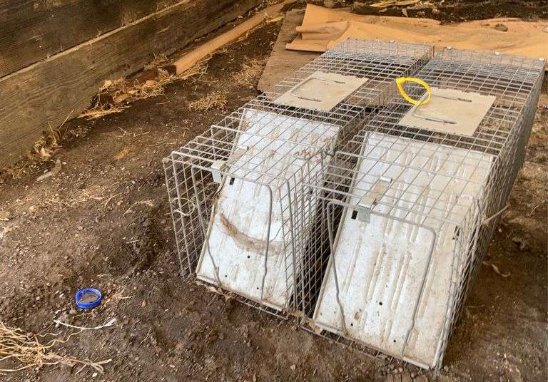 (2) live traps