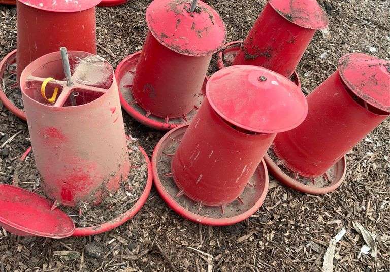 Assorted chicken feeders