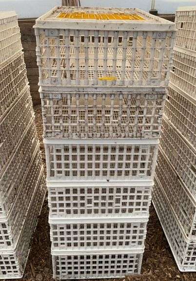 (6) chicken crates